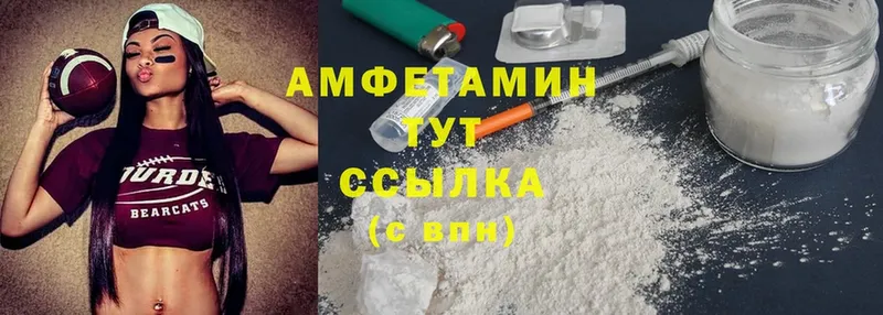 Amphetamine Premium Каргат